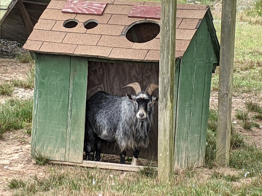 Orchard «Sky Top Orchard», reviews and photos, 1193 Pinnacle Mountain Rd, Flat Rock, NC 28731, USA