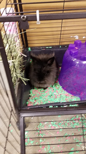 Pet Supply Store «PetSmart», reviews and photos, 10500 Ulmerton Rd, Largo, FL 33771, USA