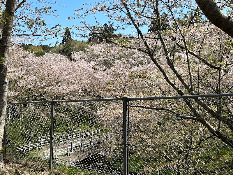 さくらの里第二公園