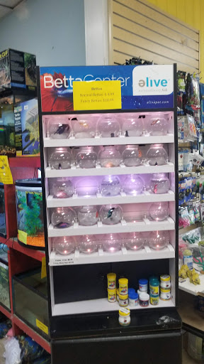 Pet Store «Everything Pets», reviews and photos, 1506 Altamont Ave, Schenectady, NY 12303, USA