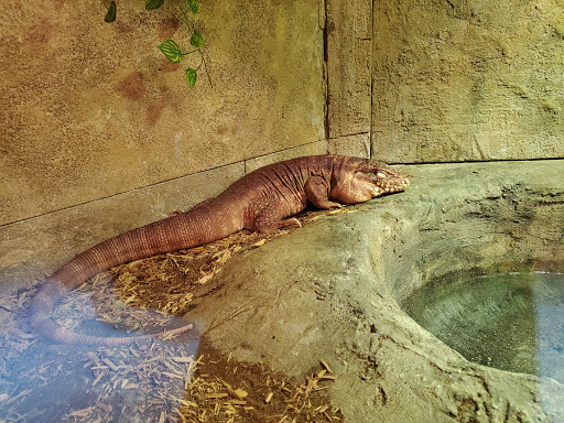 Aquarium «SeaQuest Interactive Aquarium», reviews and photos, 1201 N Hill Field Rd #1072, Layton, UT 84041, USA