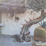 Photo n°1 de l'avis de Ursula.o fait le 05/10/2021 à 06:02 sur le  Ischia Residence Ravino à Forio