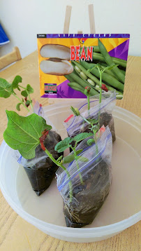 Roots and Wings Daycare - Photo 8 - Car repair in Henderson, NV, Henderson