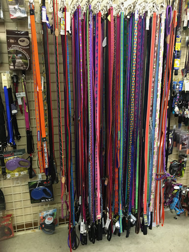 Pet Supply Store «Pet Headquarters», reviews and photos, 501 E Main St B, Palmyra, PA 17078, USA