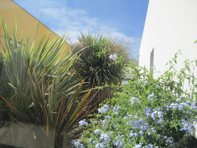 CENTRE HOSPITALIER LE MAS CAREIRON à Uzès