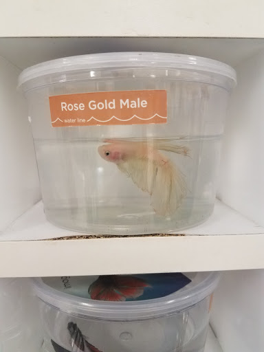 Pet Supply Store «Petco Animal Supplies», reviews and photos, 5027 Monroe St, Toledo, OH 43623, USA