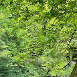 Photo n°6 de l'avis de Michael. fait le 05/07/2023 à 15:03 sur le  Blautopfhaus Schönhofer am Blautopf à Blaubeuren