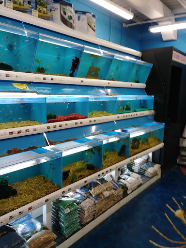 Pet Supply Store «Pet Supermarket», reviews and photos, 1746 E Silver Springs Blvd, Ocala, FL 34470, USA