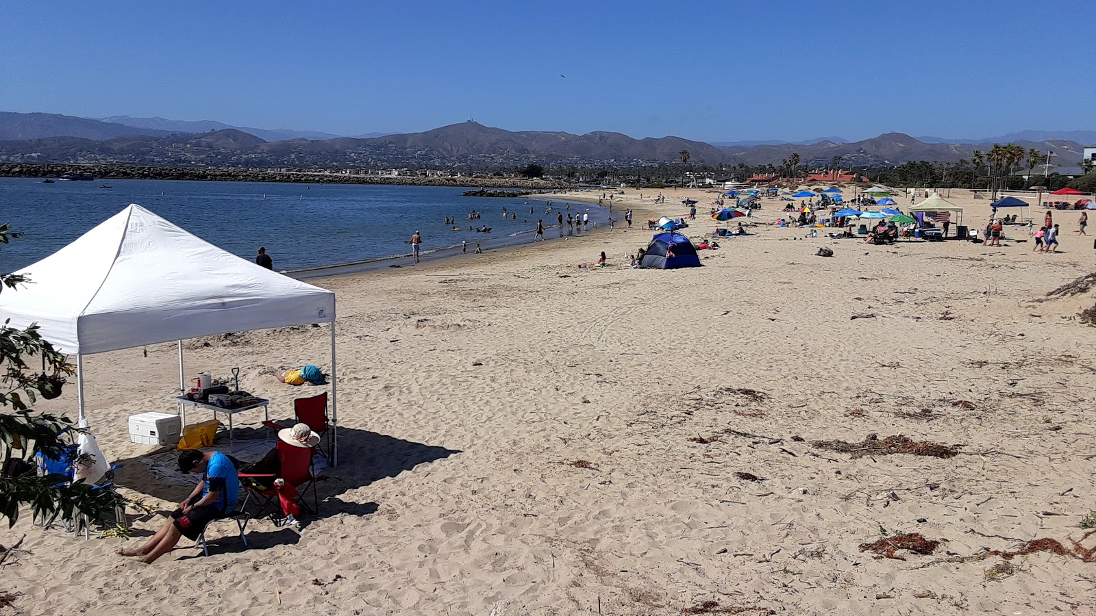 Foto di Harbor Cove Beach con una superficie del acqua turchese