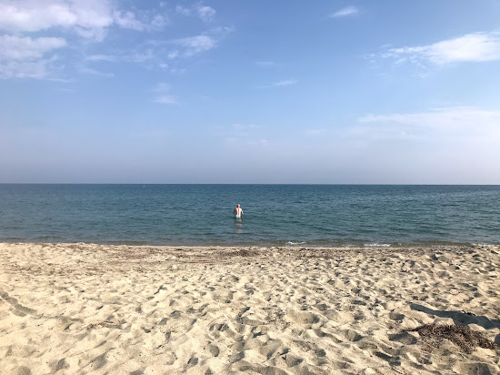 Olympic Bay