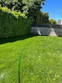 Calderon’s Garden Services - Car repair in , Los Angeles - Rated 5.0/5