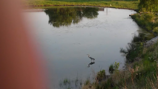 Gym «Wheeling Park District», reviews and photos, 333 W Dundee Rd, Wheeling, IL 60090, USA