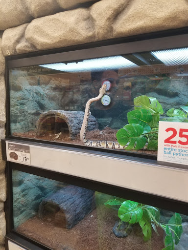 Pet Supply Store «Petco Animal Supplies», reviews and photos, 1985 N Pebble Creek Pkwy, Goodyear, AZ 85395, USA