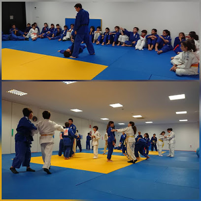 Koi Judo Castelló - Calle Ctra. Ribesalbes, s/n, Polideportivo Gaetà Huguet, 12006 Castelló de la Plana, Castelló, Spain