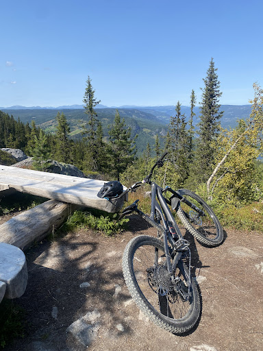 HallingSpranget FjellLinken pickup point sykkelbuss