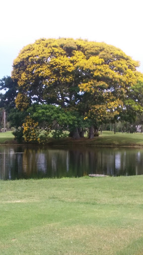 Golf Course «Largo Golf Course», reviews and photos, 12500 Vonn Rd, Largo, FL 33774, USA