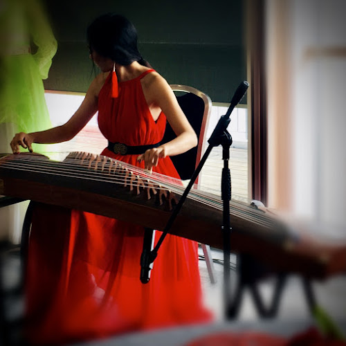 Reviews of The Guzheng Studio in London - Music store