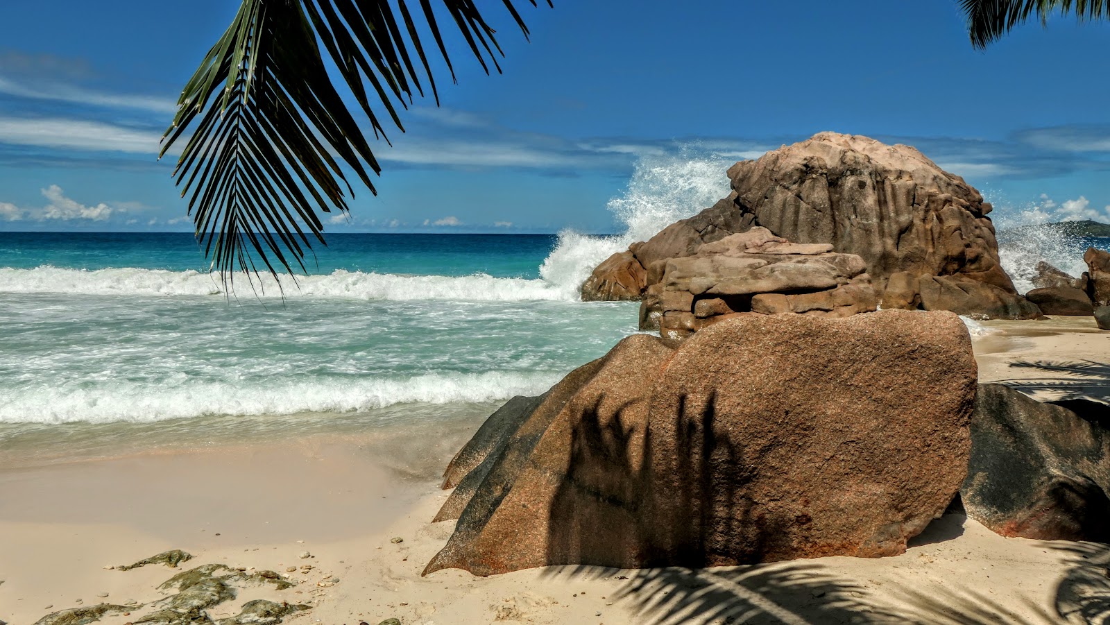 Foto von Anse Fourmis Beach und die siedlung