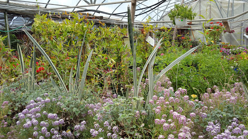 Garden Center «Copia Home and Garden», reviews and photos, 475 Smith Ridge Rd, South Salem, NY 10590, USA