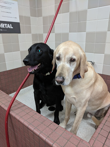 Pet Supply Store «Pet Food Express», reviews and photos, 2158 Contra Costa Blvd, Pleasant Hill, CA 94523, USA