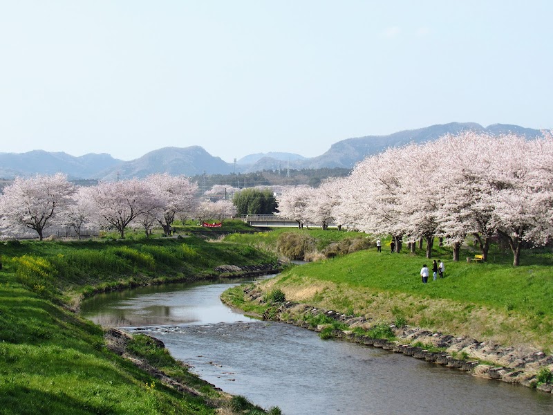 夢千本桜