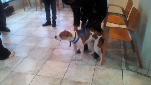 Craft Store «Michaels», reviews and photos, 7900 Plaza Blvd Ste 140, Mentor, OH 44060, USA