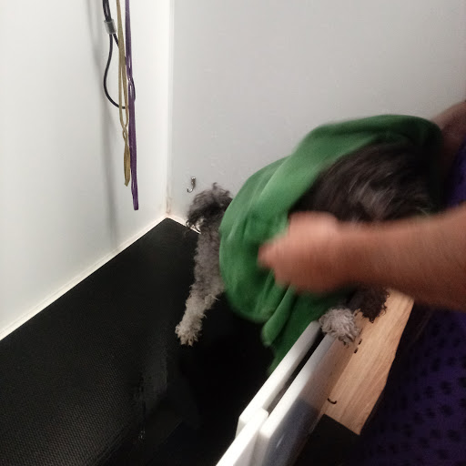 Pet Store «Super Dogs & Cats», reviews and photos, 380 Elm St, Biddeford, ME 04005, USA