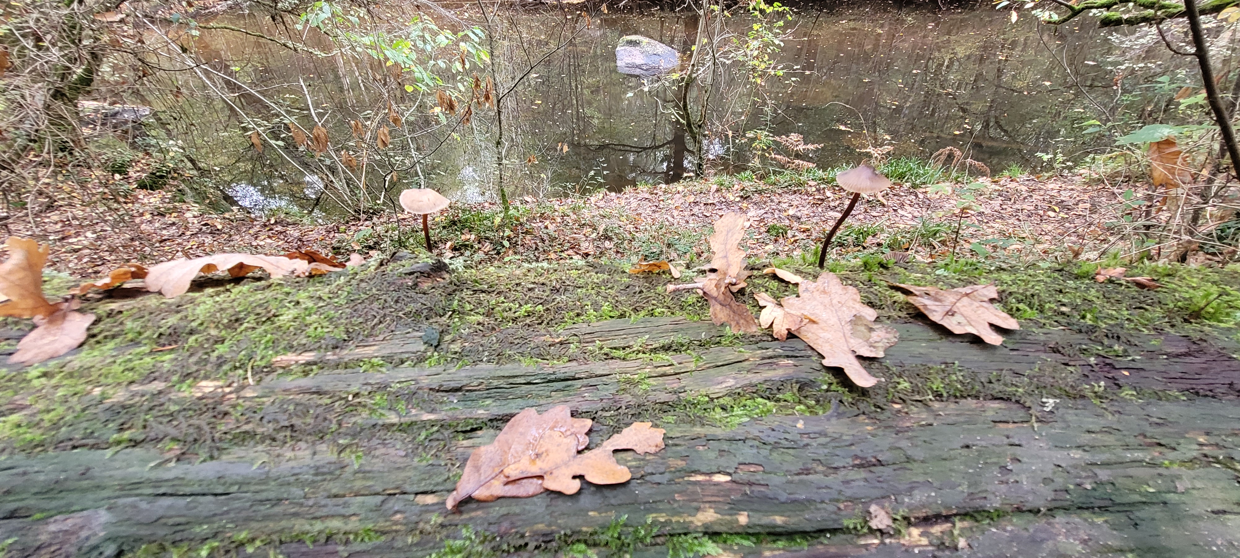 Photo n° 11 de l'avis de Christian.a fait le 30/10/2022 à 11:08