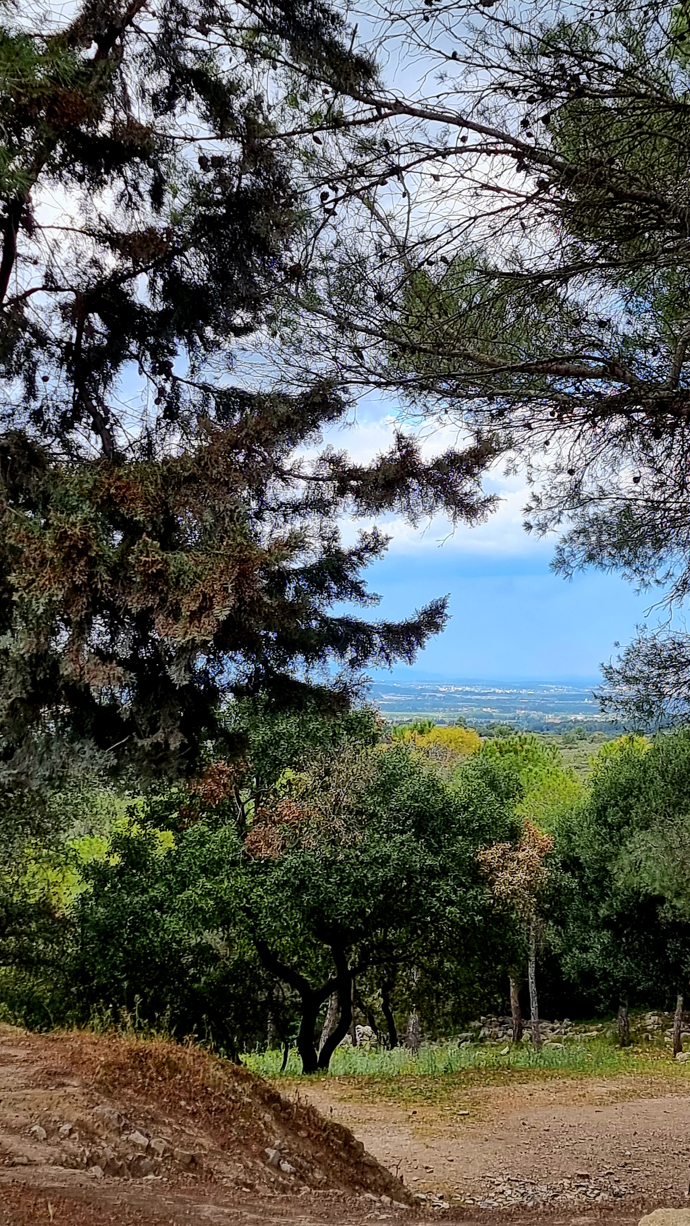 Photo n° 2 de l'avis de Lucien.o fait le 30/04/2023 à 17:08