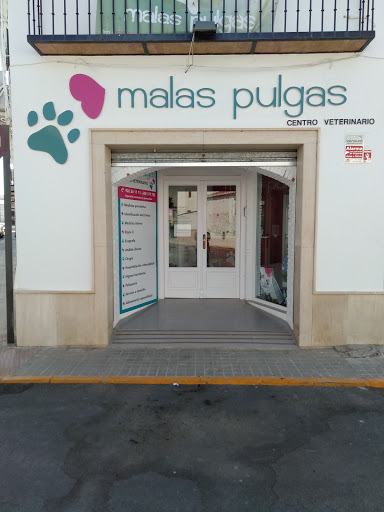 Clínica Veterinaria Malas Pulgas en Almagro