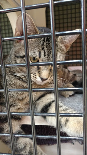 Pet Supply Store «Petco Animal Supplies», reviews and photos, 1 US-46, Totowa, NJ 07512, USA