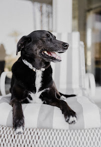 Vincent Sandoval Photography - Photo 7 - Car repair in , Indio