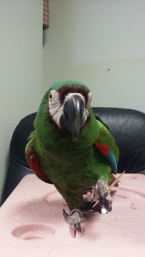 Jeweler «American Jeweler», reviews and photos, 3837 N High School Rd # 6, Indianapolis, IN 46254, USA