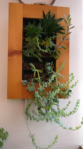 Body Piercing Shop «Sacred Art», reviews and photos, 83 N Main St, Cortland, NY 13045, USA