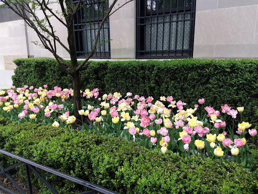 Museum «Museum of the City of New York», reviews and photos, 1220 5th Ave & 103rd St, New York, NY 10029, USA