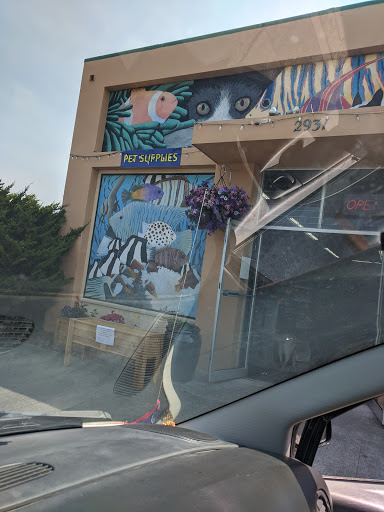 Pet Store «Fin-N-Feather», reviews and photos, 2931 F St, Eureka, CA 95501, USA