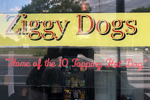 Ziggy Dogs image