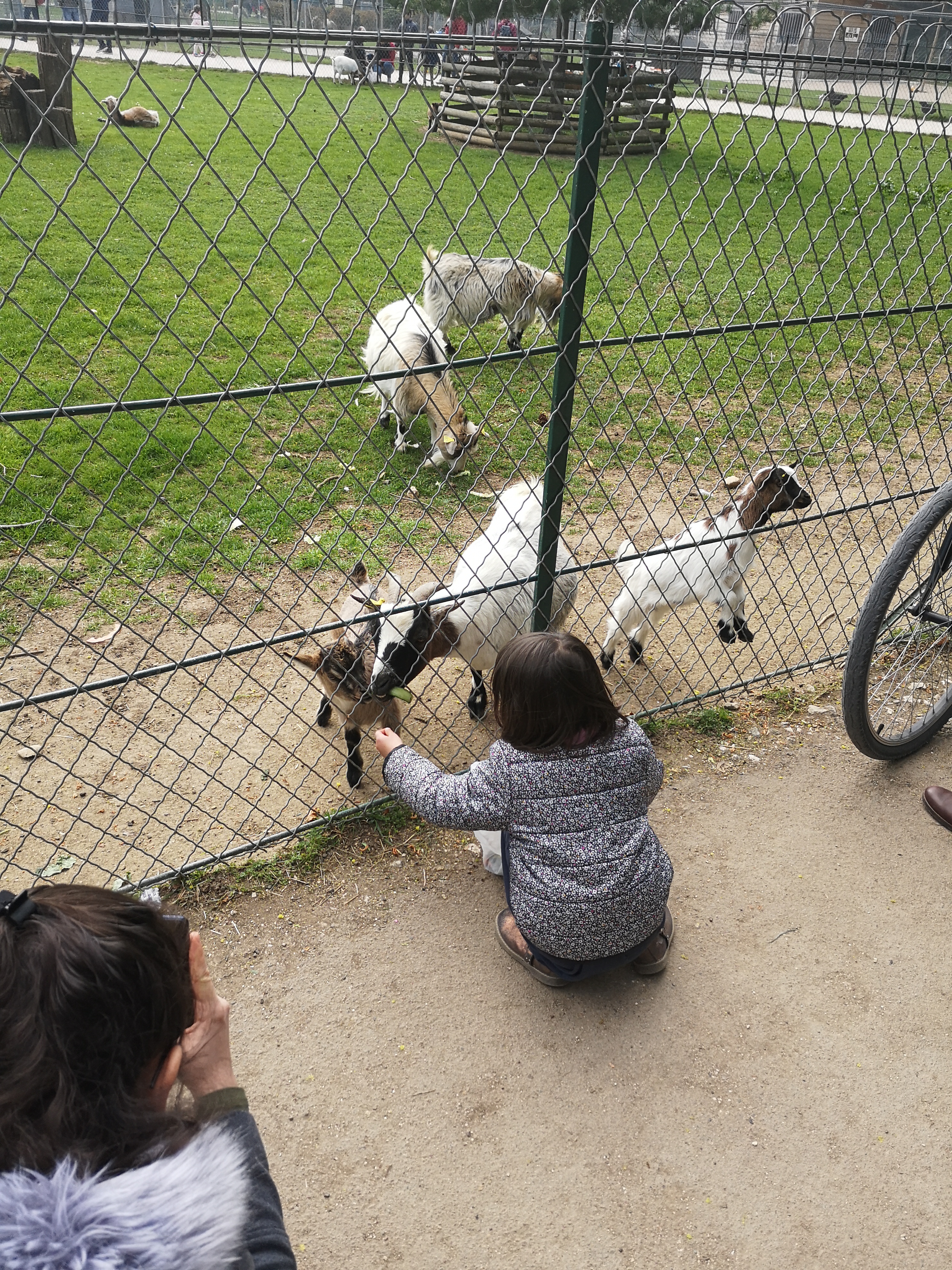 Photo n° 3 de l'avis de Dylan. fait le 15/04/2019 à 09:18