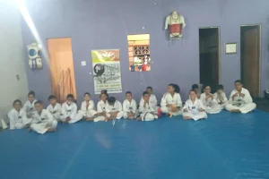 Academia Fusão Taekwondo image