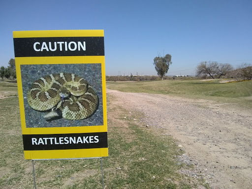 Golf Course «Tres Rios Golf Course», reviews and photos, 15205 W Vineyard Ave, Goodyear, AZ 85338, USA