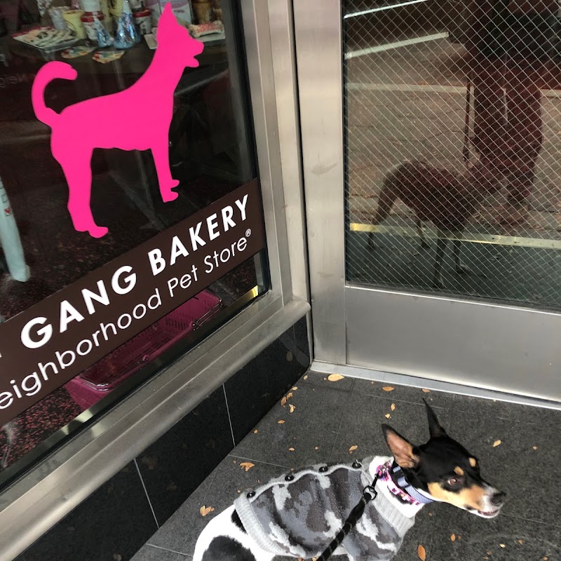 Woof Gang Bakery & Grooming Avondale
