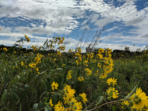 Park «Messenger Marsh», reviews and photos, S Bell Rd, Homer Glen, IL 60491, USA