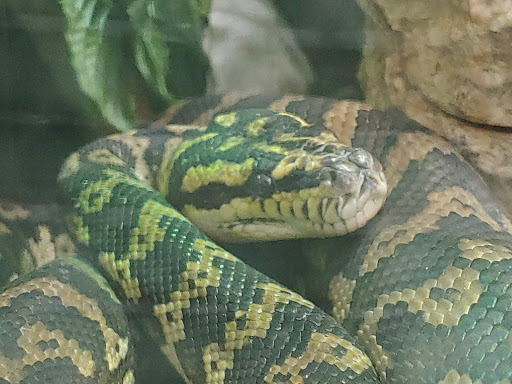 Pet Store «Animal Lovers Pet Shop», reviews and photos, 24028 Vista Montana, Torrance, CA 90505, USA