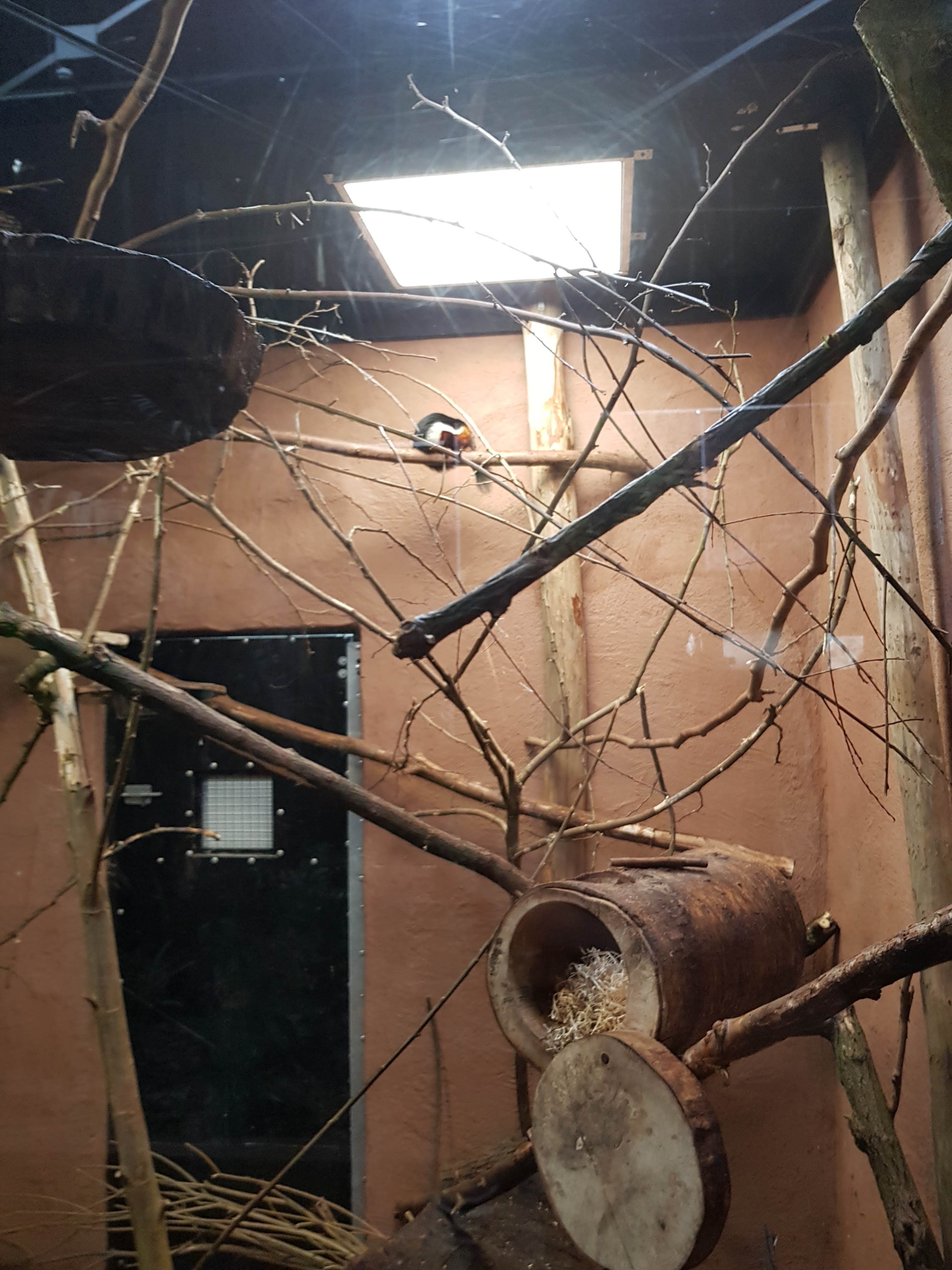 Photo n° 15 de l'avis de Charbel.l fait le 17/03/2019 à 23:45