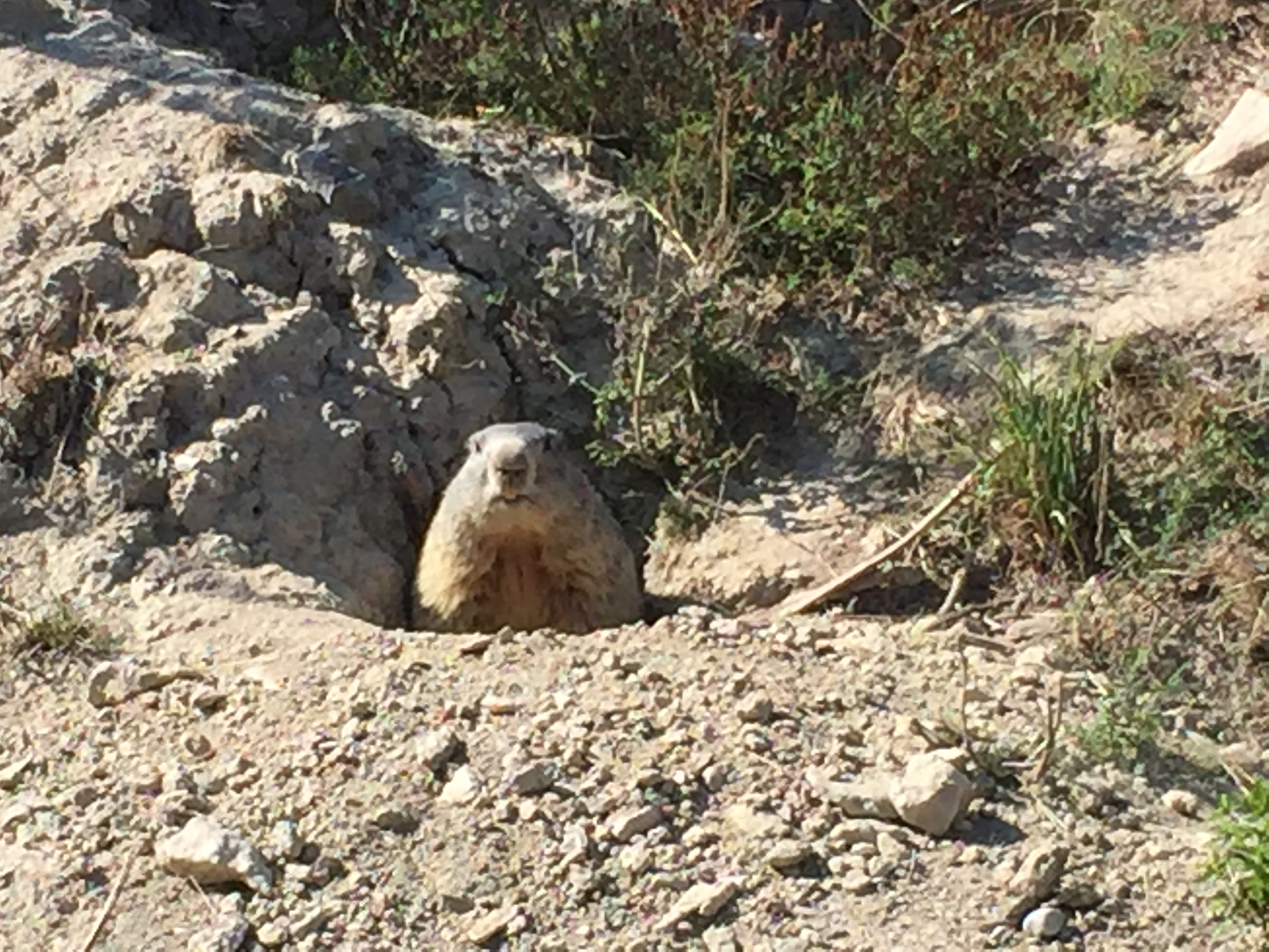Photo n° 2 de l'avis de patrice.i fait le 15/09/2020 à 19:57