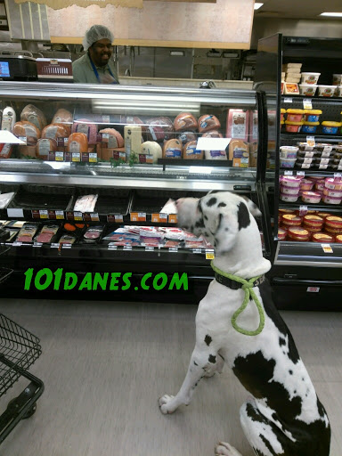 Grocery Store «Food Lion», reviews and photos, 4915 Richmond Tappahannock Hwy, Aylett, VA 23009, USA