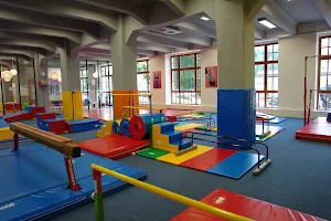 The Little Gym Praha image