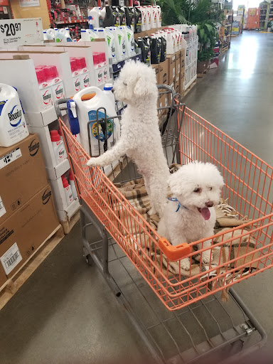 Home Improvement Store «The Home Depot», reviews and photos, 1055 N Colony Rd, Wallingford, CT 06492, USA