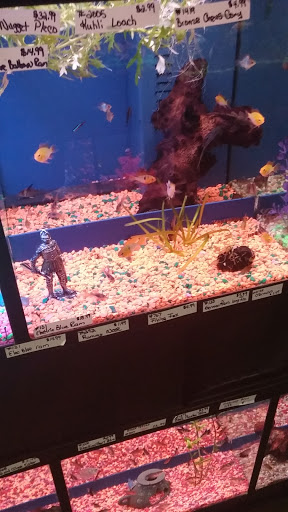 Pet Palace of Moriches Grooming and Pet Supplies, 500 Montauk Hwy, Moriches, NY 11955, USA, 