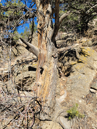 Pharmacy «Buena Vista Drug & Compounding Center», reviews and photos, 403 US-24, Buena Vista, CO 81211, USA